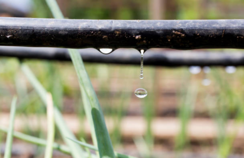 Drip Irrigation System