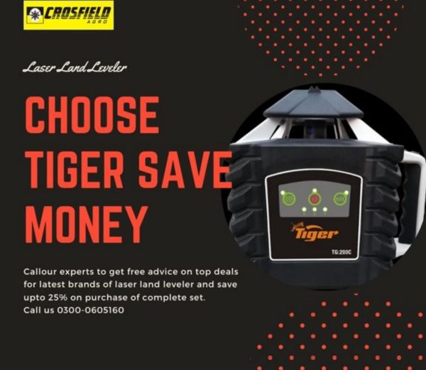 Tiger Economical Laser